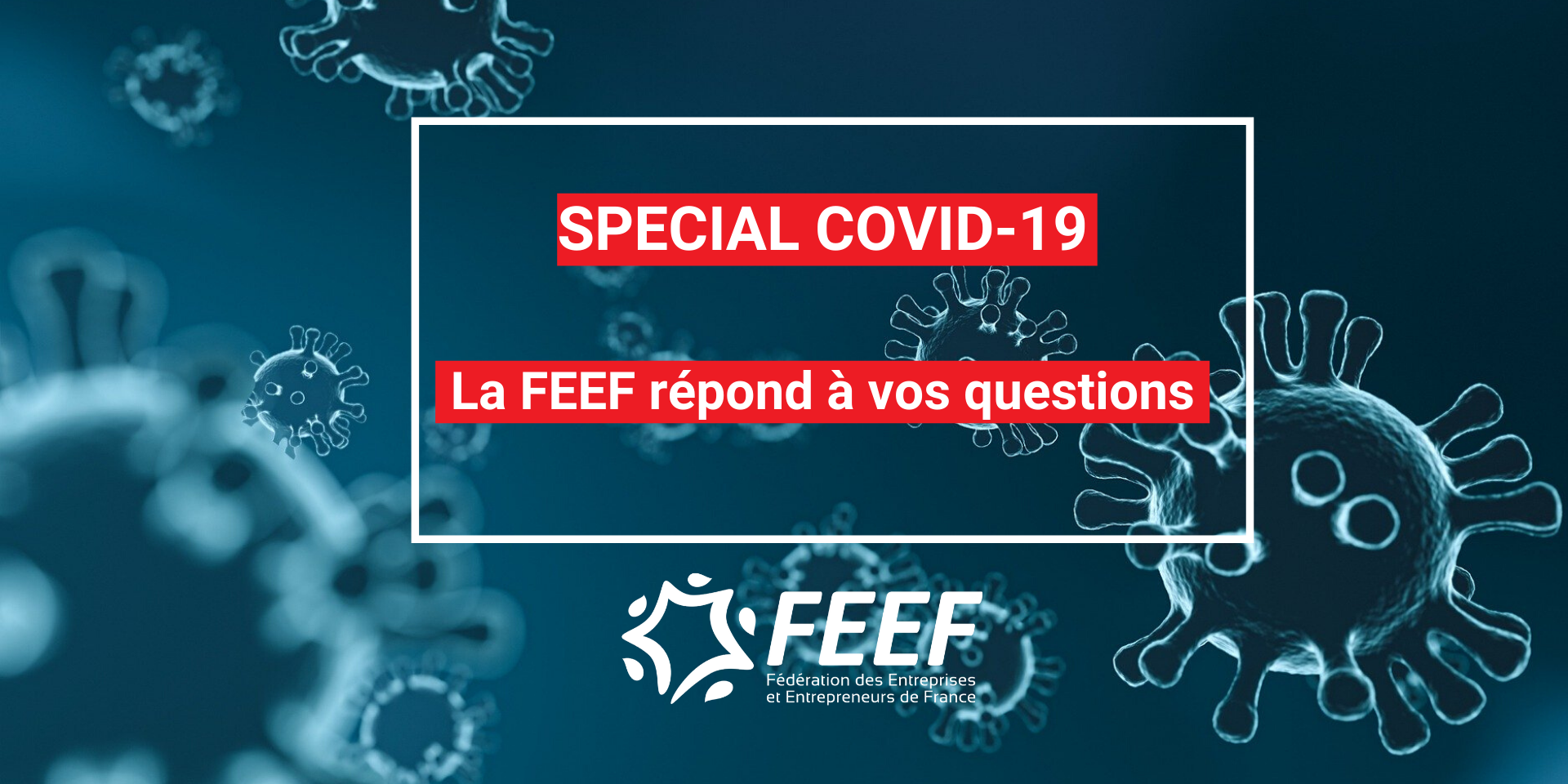 Covid19 : La FEEF crée une plateforme d’échanges pour ses adhérents