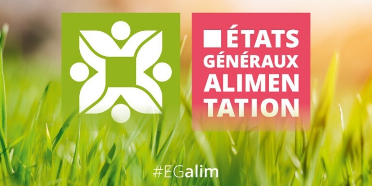 Les mesures de la loi EGALim concernant la Restauration Collective